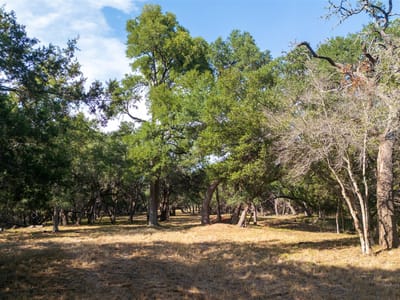 Primary bedroom at 303 Deer Lake Rd - Deer Lake Estates, Wimberley, TX
