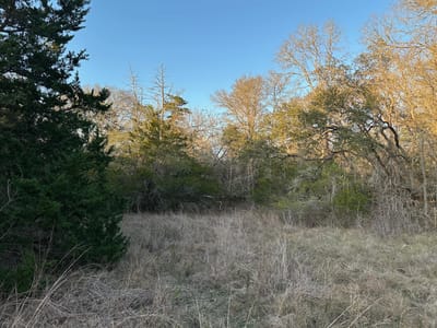 Primary bedroom at 303 FM 609 Rd - Pin Oak Estates, Flatonia, TX