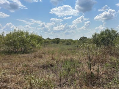 Property photo 2 at 303 Walter Hoffman Rd - ABS A French Samuel, 3.45 acres, Cedar Creek, TX