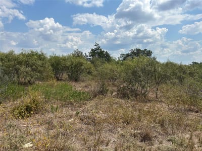 Property photo 3 at 303 Walter Hoffman Rd - ABS A French Samuel, 3.45 acres, Cedar Creek, TX