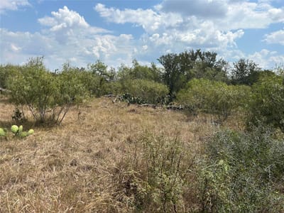 Property photo 4 at 303 Walter Hoffman Rd - ABS A French Samuel, 3.45 acres, Cedar Creek, TX