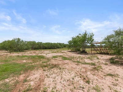 Property photo 3 at 305 Blue Quail ST - Lytton Hills Ph 1, Dale, TX