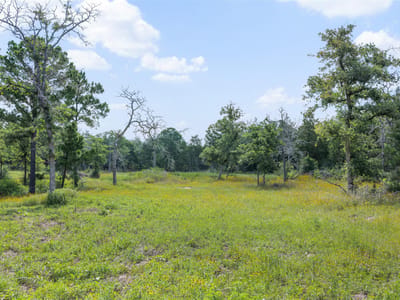 Primary bedroom at 305 Cistern RD - Evans, Musgrove, Rosanky, TX