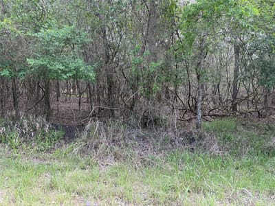 Property photo 2 at 305 Nene LN - Tahitian Village, Unit 5, Bastrop, TX