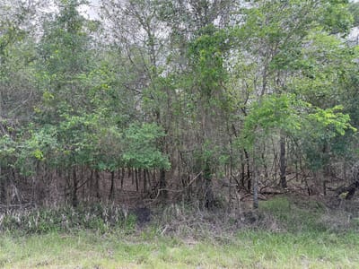 Property photo 3 at 305 Nene LN - Tahitian Village, Unit 5, Bastrop, TX