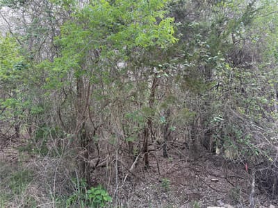 Property photo 4 at 305 Nene LN - Tahitian Village, Unit 5, Bastrop, TX