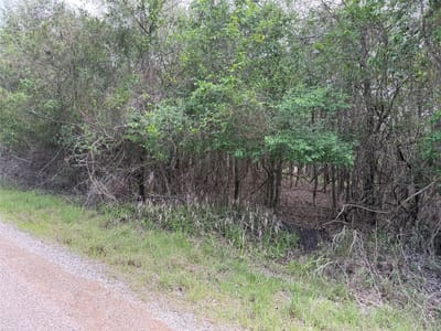 Property photo 5 at 305 Nene LN - Tahitian Village, Unit 5, Bastrop, TX