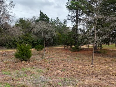 Primary bedroom at 313 Dogwood Dr - Cade Lake Sec 4, Caldwell, TX