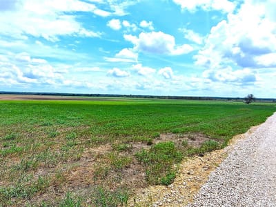 Living area at 3135 CR 432 Rd - A0010 - ACOSTA, JUAN JOSE, Thorndale, TX