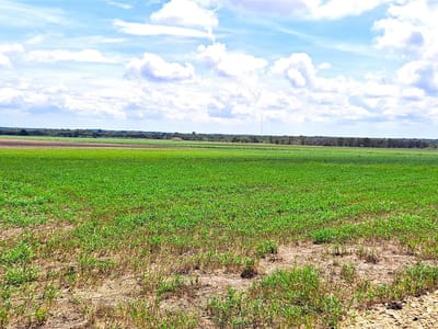 Kitchen at 3135 CR 432 Rd - A0010 - ACOSTA, JUAN JOSE, Thorndale, TX