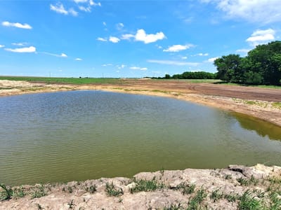 Primary bedroom at 3135 CR 432 Rd - A0010 - ACOSTA, JUAN JOSE, Thorndale, TX