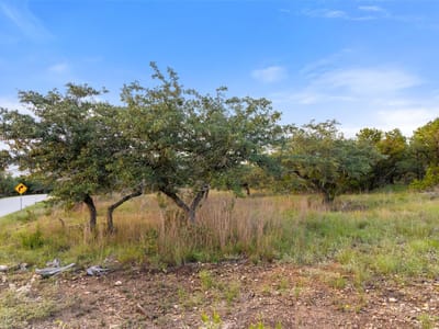 Primary bedroom at 31930 Mirela Ann RD - TerraLoma, Dripping Springs, TX