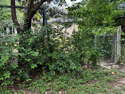 Primary bedroom at 3201 Little Nolan RD - WH Cole, Killeen, TX