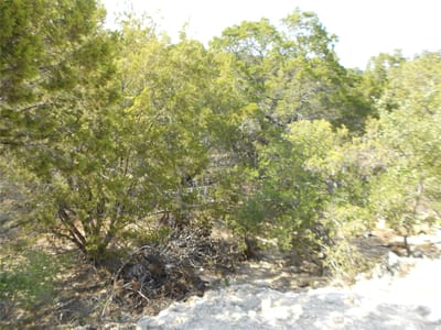 Primary bedroom at 3208 Hamilton Ave - Highland Lake Estates Sec 12 A, Lago Vista, TX