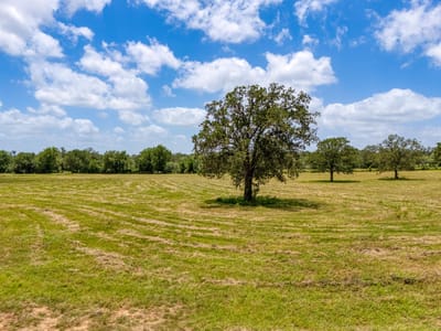Primary bedroom at 3291 Washburn RD - see legal, Luling, TX