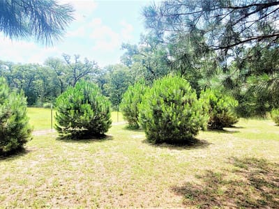 Living area at 3321 County Road 457 - na, Thorndale, TX