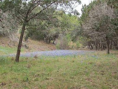 Primary bedroom at 350 Bluff RD - N/A, Spicewood, TX