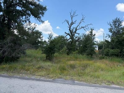 Primary bedroom at 3523 Cactus TRL - Lakeside Heights, Kingsland, TX