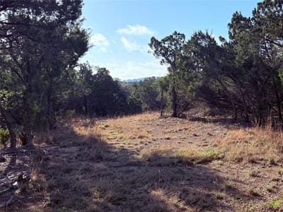 Primary bedroom at 3600 Stagecoach Ranch LOOP - Stagecoach Ranch Sec 1, Dripping Springs, TX