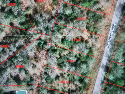 Property photo 2 at 36141 & 36149 Kaelepulu DR - Tahitian Village, Bastrop, TX