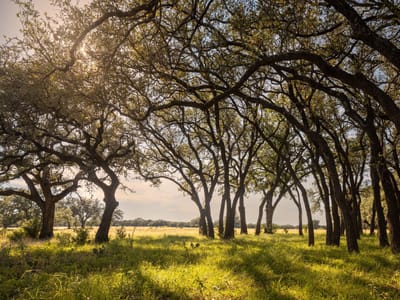 View with Hill Country panoramic views at 365 Gipson Rd - none, Johnson City, TX
