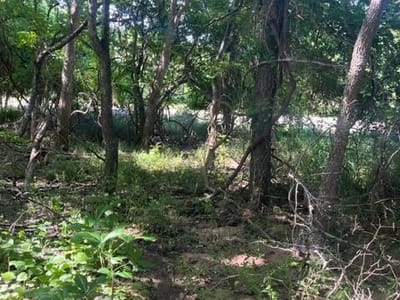 Property photo 5 at 366 Riverside DR - Tahitian Village,, Bastrop, TX