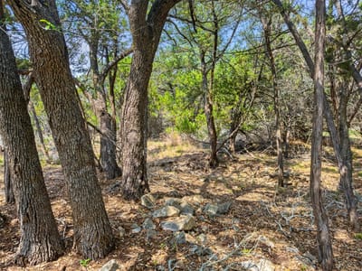 Living area at 369 Onion Creek Ln - The Divide, Blanco, TX
