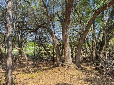 Primary bedroom at 369 Onion Creek Ln - The Divide, Blanco, TX