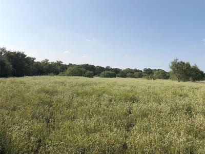 Primary bedroom at 270 Wild Plum Rd - Wild Plum Estates, Lockhart, TX