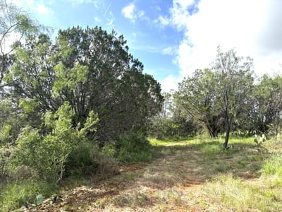 Property photo 2 at 374 Sandy Mountain DR - 13133, Sunrise Beach, TX