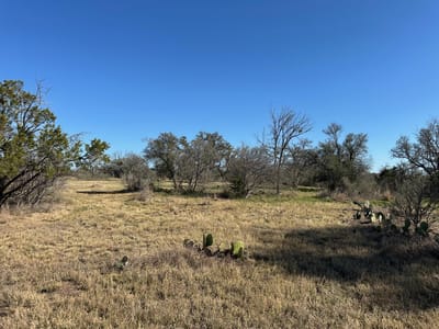 Primary bedroom at 3809 Mormon Mill Rd - Hi-Ridge Trails, Marble Falls, TX