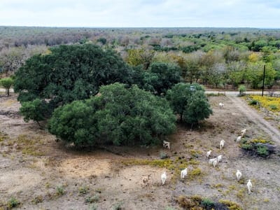 Property photo 2 at 387 Black Watch LN - A097, Lockhart, TX