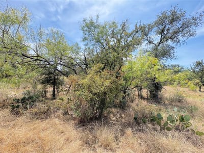 Property photo 2 at 387 Rosehill DR - Castle Hills, Granite Shoals, TX