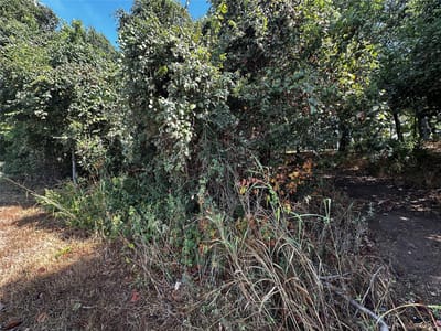 Property photo 5 at 392 Riverside DR - Tahitian Village,, Bastrop, TX
