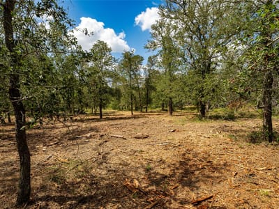 Property photo 3 at 3980 (Tract 5) Fm 3158 - N/A, Dale, TX