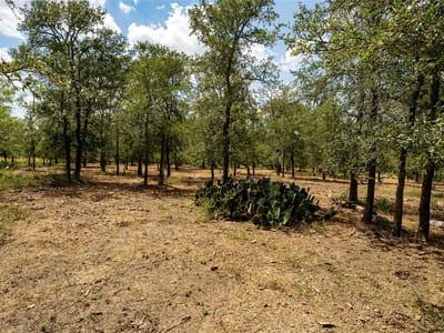 Property photo 4 at 3980 (Tract 5) Fm 3158 - N/A, Dale, TX