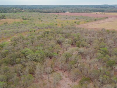Living area at 3980 (Tract 5) Fm 3158 - Dale, TX