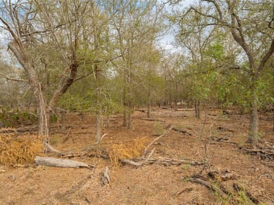Kitchen at 3980 (Tract 5) Fm 3158 - Dale, TX