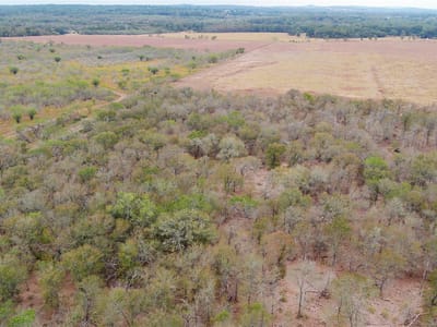 Primary bedroom at 3980 (Tract 5) Fm 3158 - Dale, TX