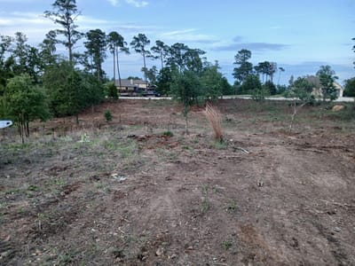 Living area at 400 McAllister RD - Pine Forest Unit 7 Ph Iii, Bastrop, TX