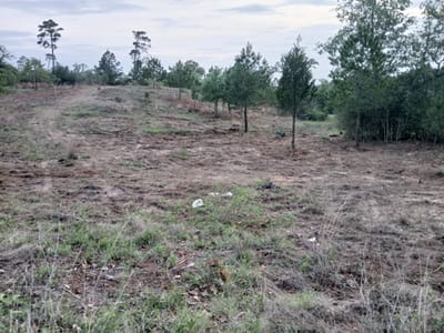 Kitchen at 400 McAllister RD - Pine Forest Unit 7 Ph Iii, Bastrop, TX