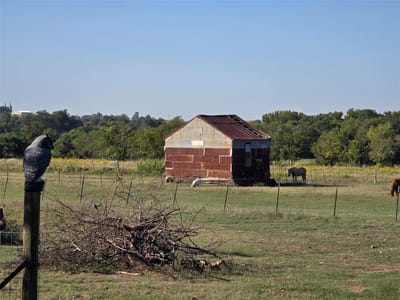 Photo 5 - 401 County Road 315 Photo 5 of 7 at 401 County Road 315 - Jarrell, Jarrell, TX