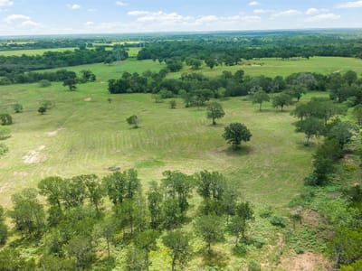 Bathroom at 401 FM 672 - Denson, A J, Dale, TX