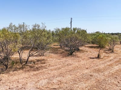 Property photo 5 at 4049 Old Colony Line RD - Spanish Oak Acres Phase 2, Dale, TX