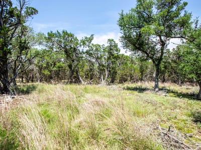 Primary bedroom at 41 Persimmon DR - Woodcreek Sec 8, Wimberley, TX