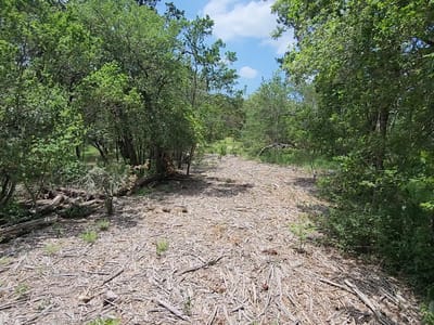 Living area at 410 Owl Hollow RD - Rocky Ranch Acres Sec 1, San Marcos, TX