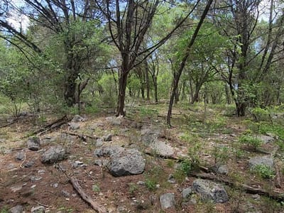 Kitchen at 410 Owl Hollow RD - Rocky Ranch Acres Sec 1, San Marcos, TX