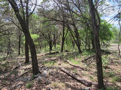 Primary bedroom at 410 Owl Hollow RD - Rocky Ranch Acres Sec 1, San Marcos, TX
