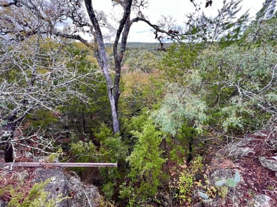 Primary bedroom at 413 & 431 Turkey Drive Holw - Pedernales Place, Dripping Springs, TX