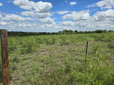 Primary bedroom at 414 3G Ranch Rd - replat of of lot 5 of 3G ranch, Kyle, TX